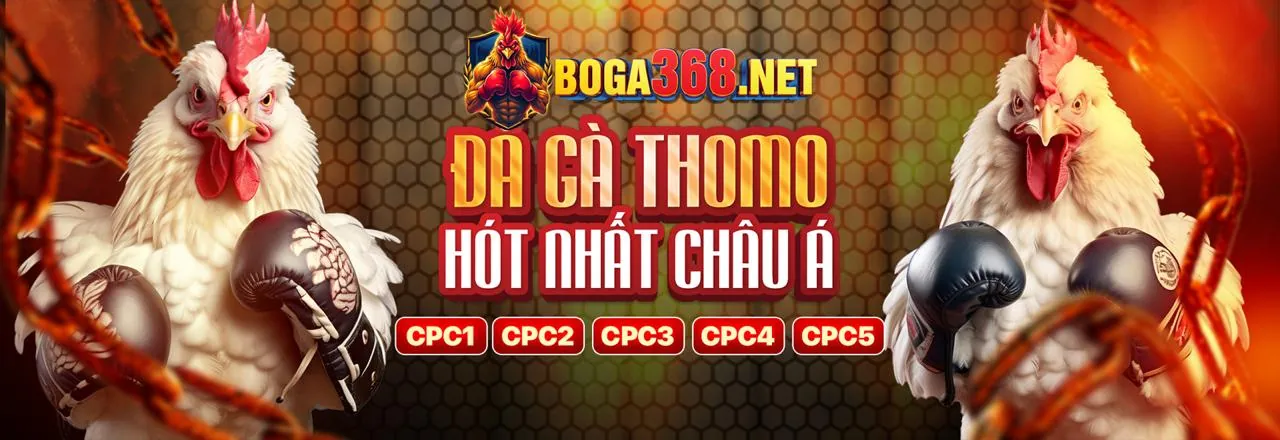 Quy trình đăng ký tài khoản an toàn 98bet